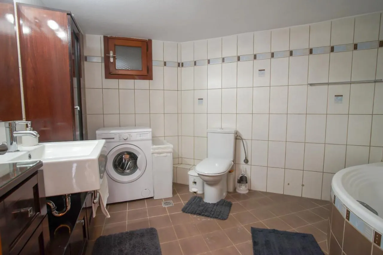 Irini'S Sea View Apartment 145M2 نيا ميشانيونا
